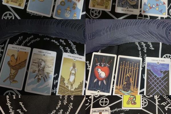 测试目前的烦恼塔罗牌，塔罗牌占卜烦恼的事会解决么？