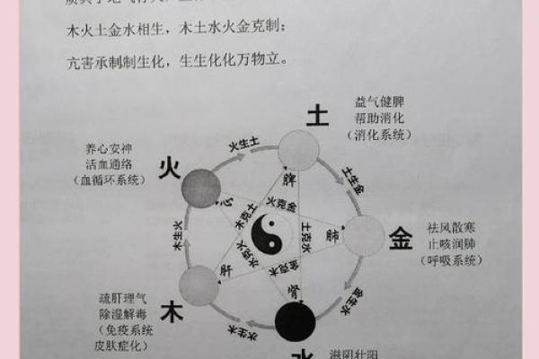 风水文化:食物里的五行秘密 风水文化:食物里的五行秘密