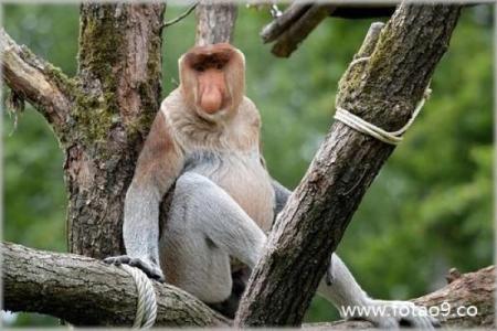 右眼睛下面长白毛算命