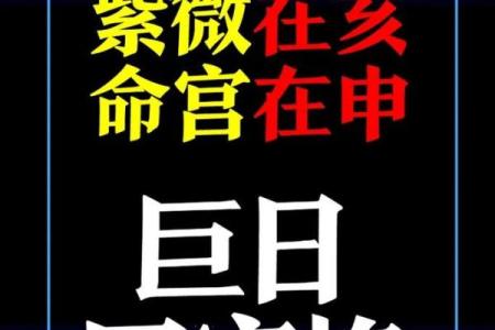 紫微斗数ios 紫微斗数免费排命盘？