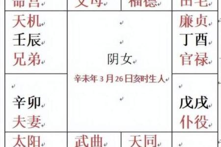 紫微斗数之廉贞星双星组合实战