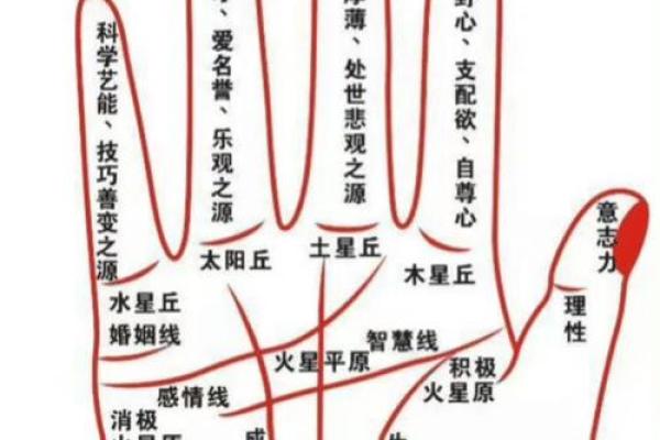 看手相算命婚姻