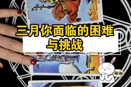 塔罗牌测试三月学习运