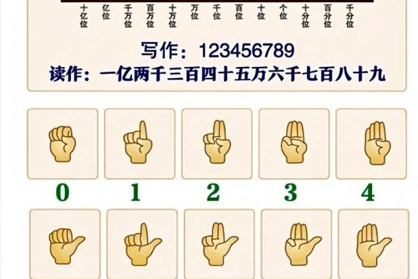 怎么用手算命