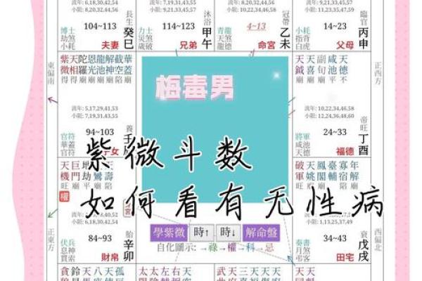 紫薇斗数对人有什么影响