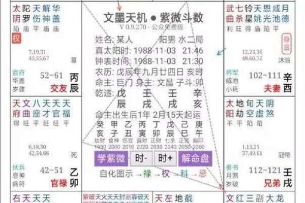 紫微斗数之预测灾厄：　自杀