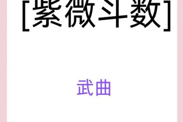 紫薇斗数投资理财高手