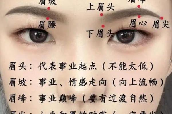 风水面相哪三种眉毛男人最好命