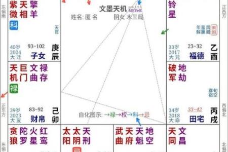 紫薇斗数紫薇在兄弟