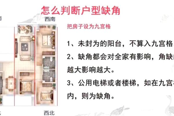 房子的后方风水怎样