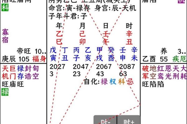 紫微斗数查询自己的命宫 命宫在寅的人命格如何