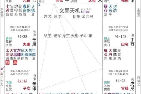 紫微斗数诸星落诸宫之，其它星疾厄宫详解