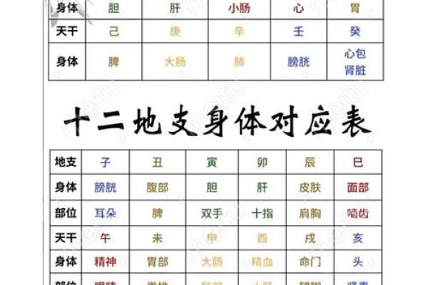 根据八字保健身体 八字可否用于保健身体