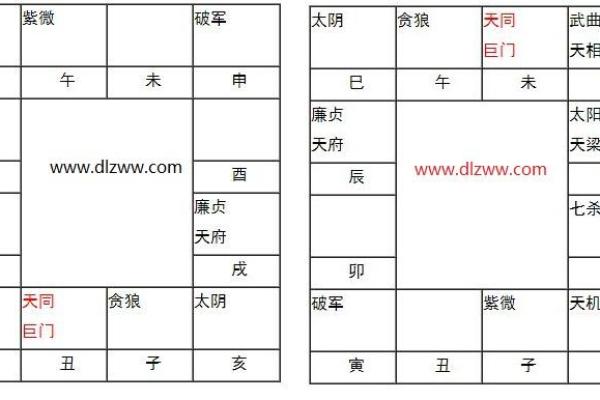 令东来紫薇斗数