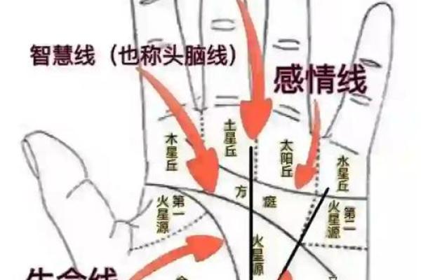 手相算命总论 手相算命大揭秘