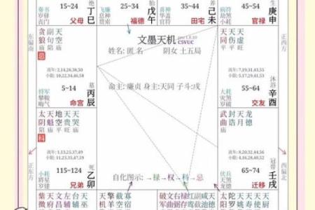 紫薇斗数迁移宫嫁人