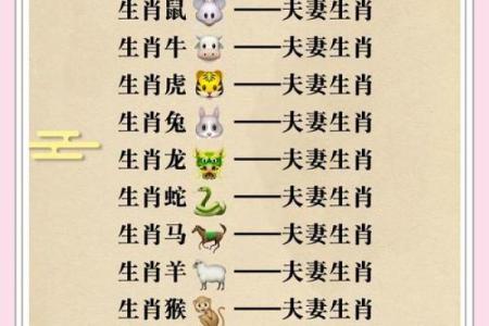 十二生肖算命婚姻配对准吗