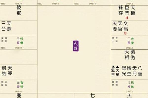 紫薇斗数命宫天梁