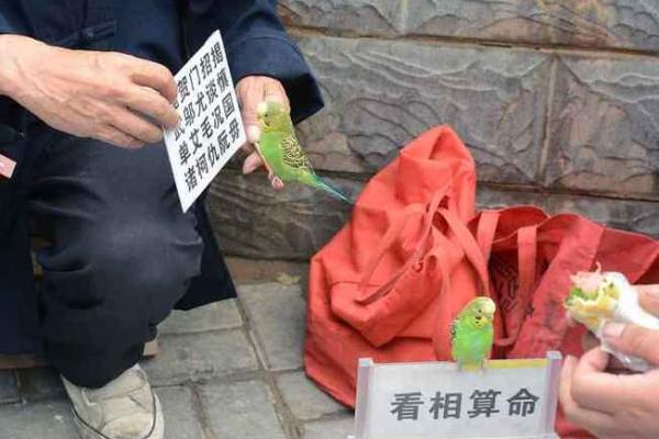 生命危机提醒:算命到底有多神秘?网友真实故事曝光 生命危机提醒:算命到底有多神秘?网友真实故事曝光