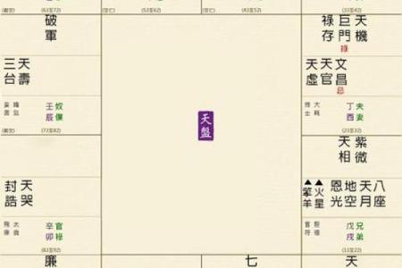 紫薇斗数命宫天梁