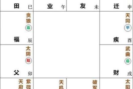 紫微斗数之夫妻宫与诸星，天府星在夫妻宫是什么意思？