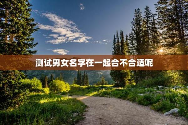 情侣配对姓名测试 姓名情侣配对指数测试？