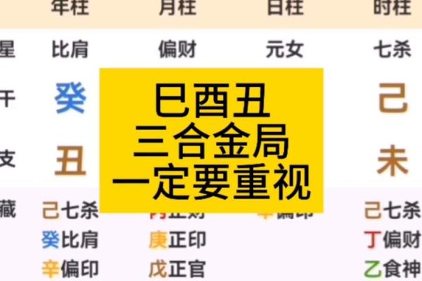 八字巳酉合 八字巳酉合