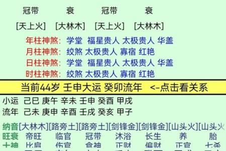 什么八字是蝴蝶双飞格