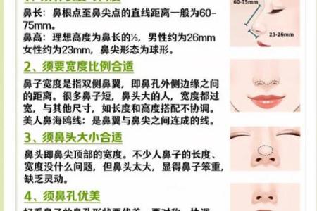 鼻子八字型特征及处理技巧！