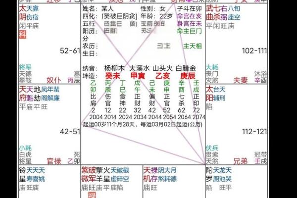 紫微斗数廉贞星在财帛宫