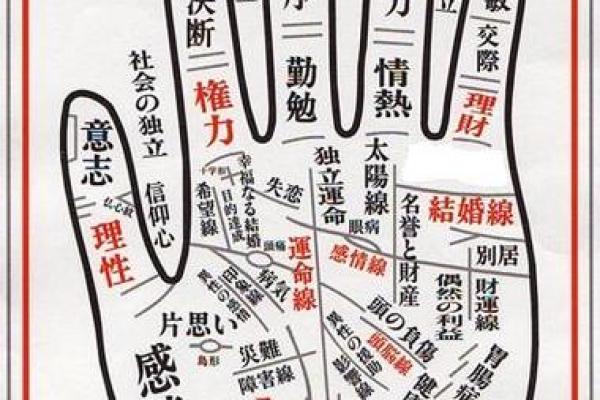 八字算命术和手相面相哪个更准确