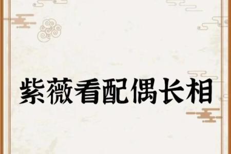 紫薇斗数官禄宫配偶