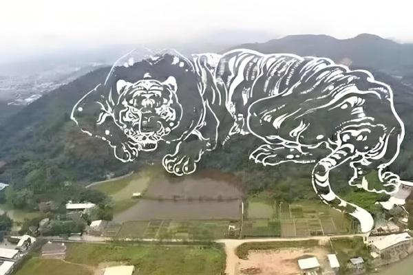 祖坟风水会有哪些影响