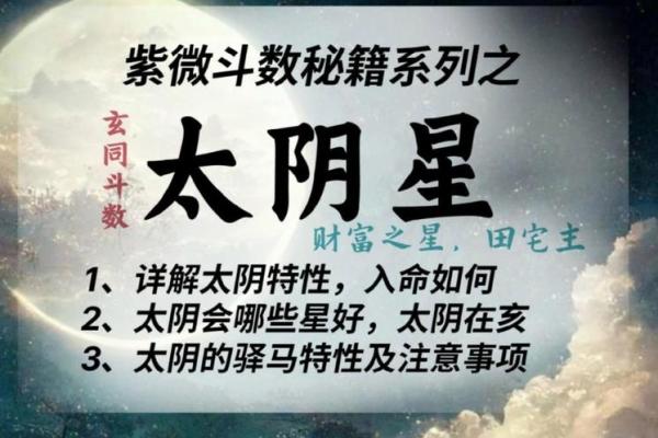 紫薇斗数太阴守事业