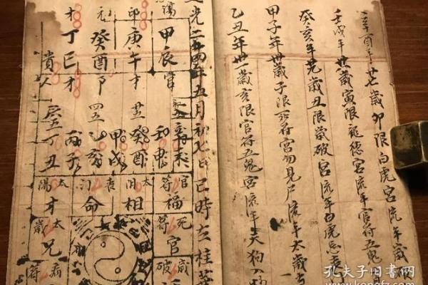 紫薇斗数进阶书