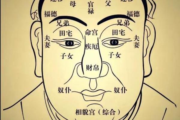 颧骨面相算命
