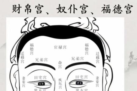 颧骨面相算命