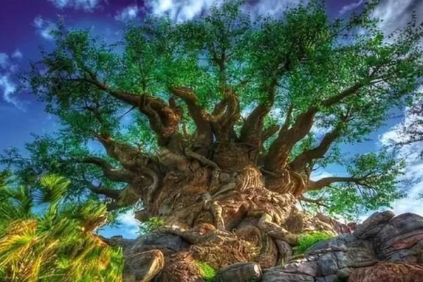 遮天紫薇星域和北斗哪个好