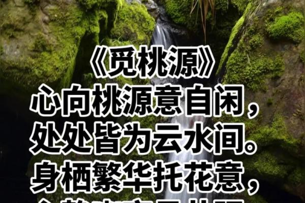 能够让你早日摘得桃花归的风水