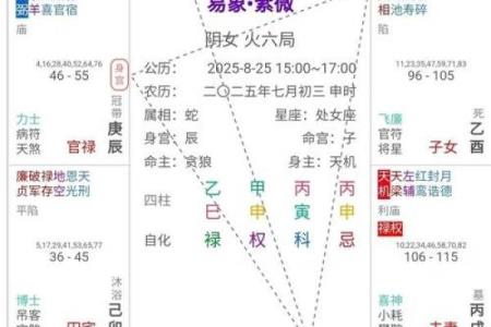 紫薇斗数先天命盘和大运命盘什么意思