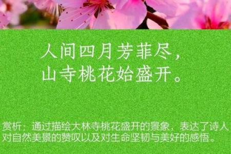 能够让你早日摘得桃花归的风水