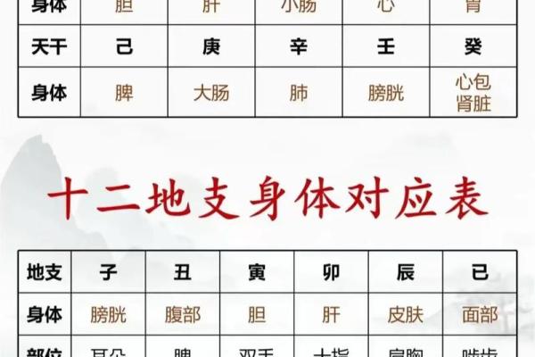 八字干支查询