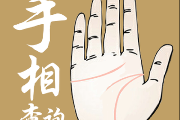 八字和手相 八字和手相