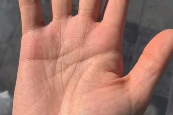 八字和手相 八字和手相