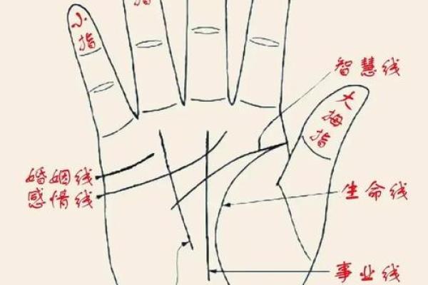 免费拍照看手相算命在线