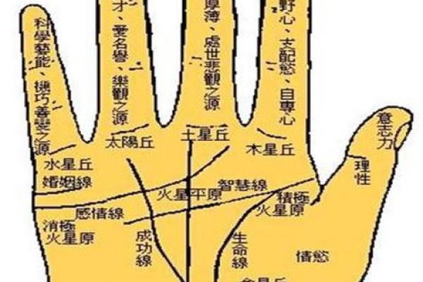 免费拍照看手相算命在线