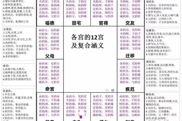 紫薇斗数各宫化