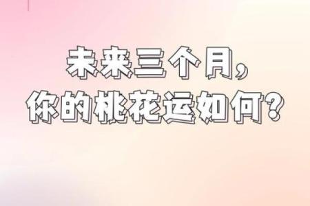 塔罗测试：最近三个月，哪方面的财路比较旺？