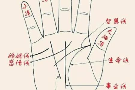 免费拍照看手相算命在线