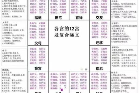 紫薇斗数各宫化